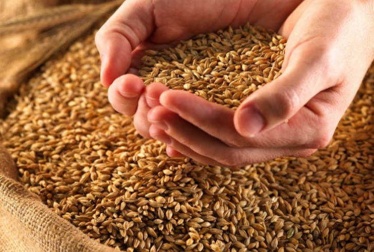 Глава Зернового фонда при МЧС Азербайджана: «Никаких оснований для повышения цены на хлеб в стране нет»