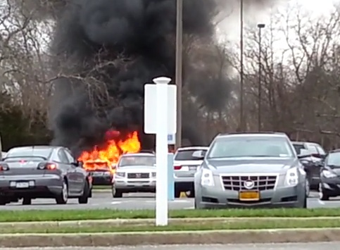 Американец сжег машину в попытке избавиться от клопов - ВИДЕО