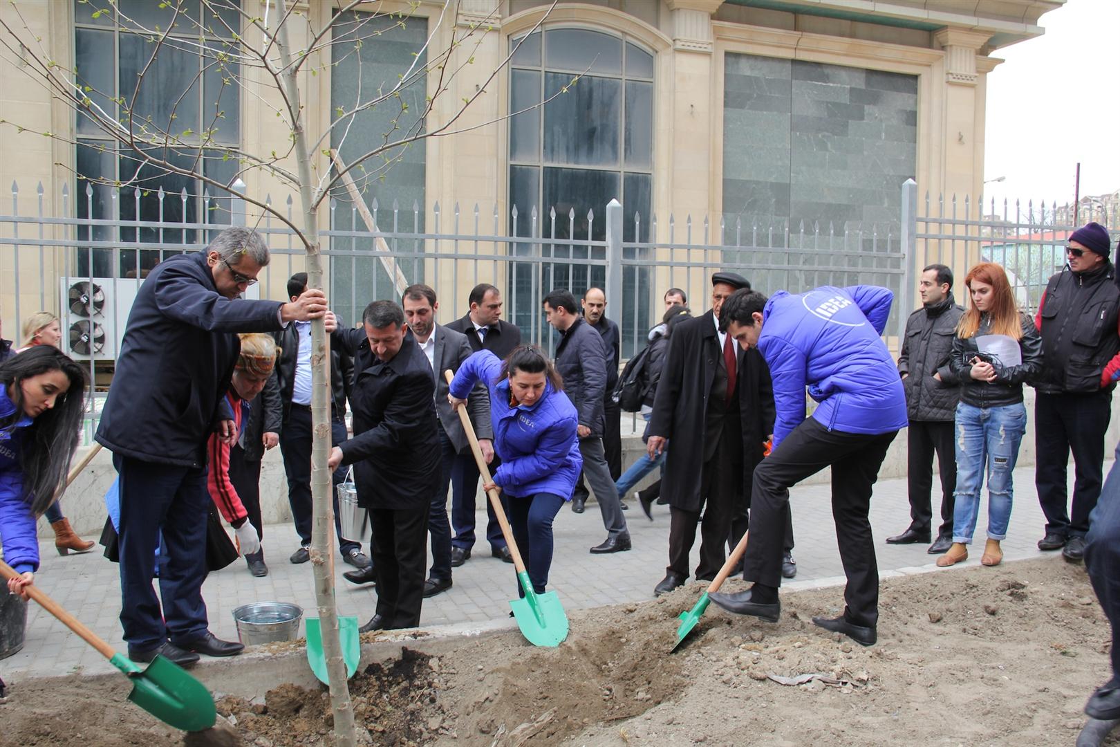 Общественное объединение IDEA провело в Баку акцию по посадке деревьев - ФОТО