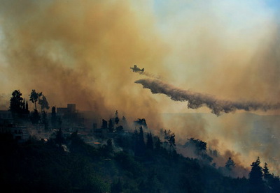Более 700 человек эвакуированы из-за лесного пожара близ Иерусалима