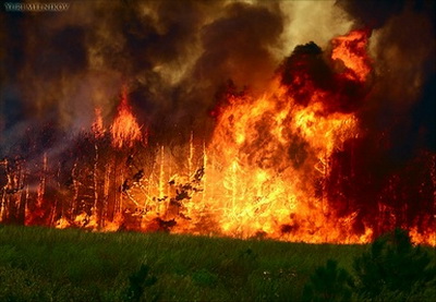 Более 10 тыс. жителей Калифорнии эвакуированы из-за лесного пожара