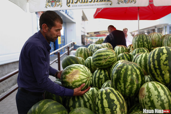 Азербайджанец, торгующий арбузами, стал знаменитостью в Беларуси – ФОТО