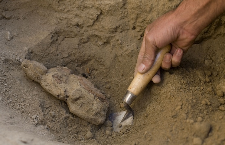 В ходе раскопок на западе Азербайджана обнаружено до двухсот древних артефактов