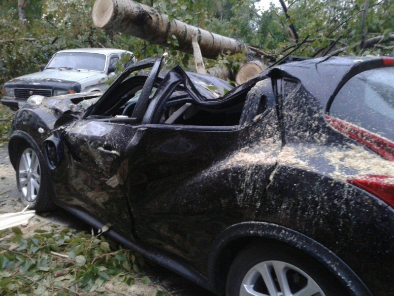 В Баку ветер повалил деревья на автомобили, есть пострадавший