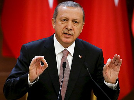 Эрдоган назвал «недостойной политиков» реакцию Москвы на Су-24