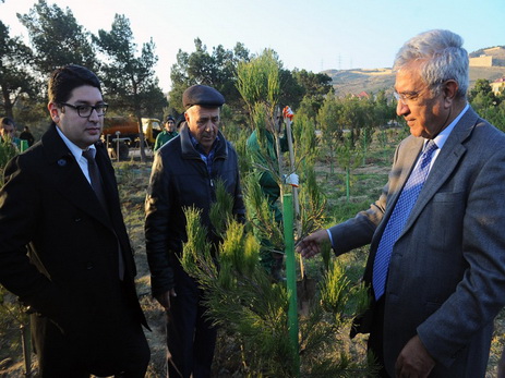 Компания Соса-Соla и Университет АДА посадили 1000 деревьев в Велопарке БМХ - ФОТО