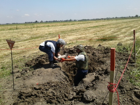 Азербайджанские саперы продолжают очищать прифронтовую территорию от мин – ФОТО