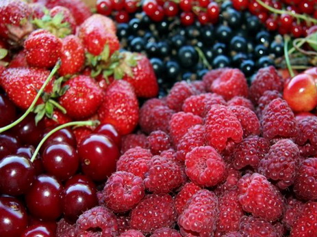 В Дагестан не пустили 238 килограммов ягод из Азербайджана