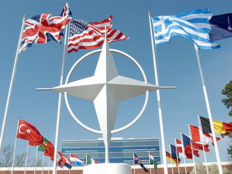 Координатор НАТО в Баку: безопасность внутри Альянса зависит от стабильности соседних стран