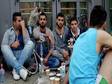Германия начала обучать мигрантов специальностям для восстановления Сирии