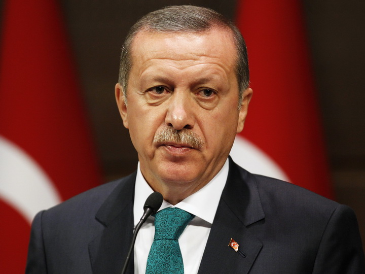 Эрдоган заявил, что отношения Турции и России развиваются «с каждым днем»