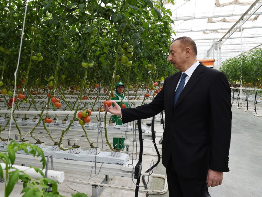 Ильхам Алиев ознакомился с работой, проделанной в BAKU AGROPARK - ФОТО