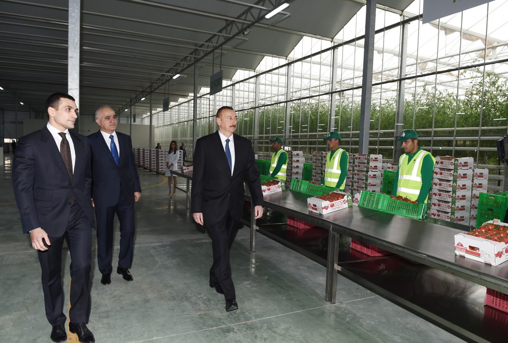 Парк Зиря Баку. Дом Ильхама Алиева в Зиря. Baku Agropark LLC. Yevlakh Pilot Agropark. Новости часа в азербайджане на фейсбук