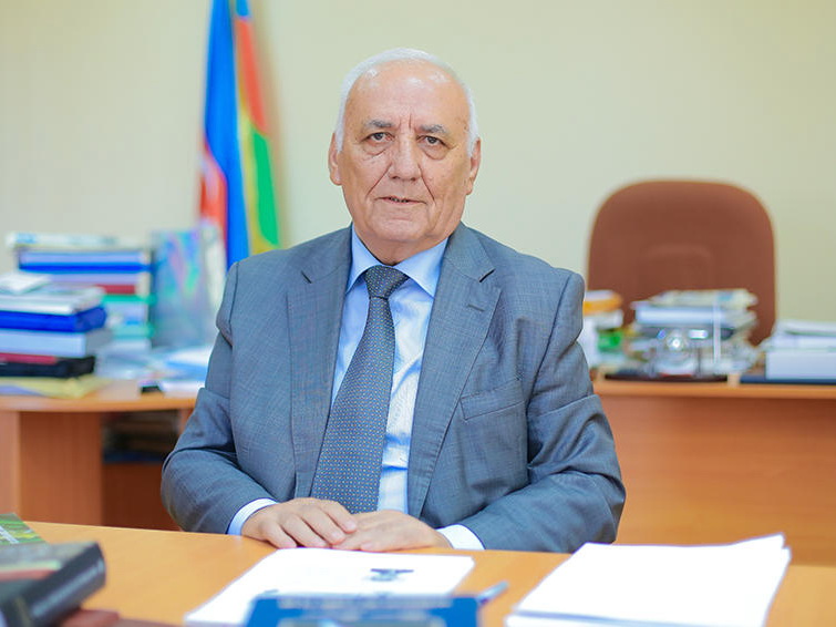 Директор Института истории НАНА Ягуб Махмудов освобожден от должности