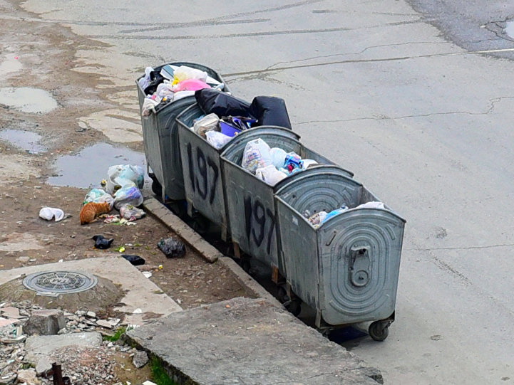 В Баку в мусорном баке обнаружен расчленённый труп