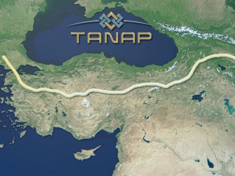 “SOCAR Turkey Enerji” TANAP-dan 7% pay alıb