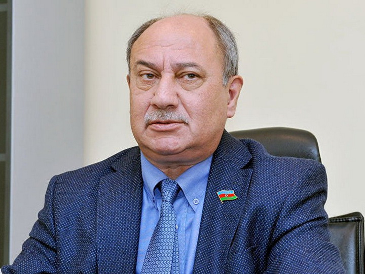 Араз Ализаде об Армении: Собака лает только тогда, когда чувствует поддержку хозяина