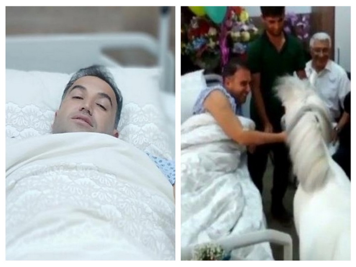 О том, как лошадка оказалась в палате больного раком Нурана Гусейнова: «Это его любимый пони…» – ФОТО – ВИДЕО