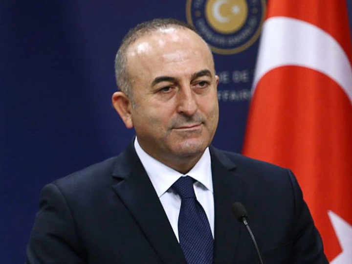 Турция оценила поддержку Азербайджаном операции «Источник мира»