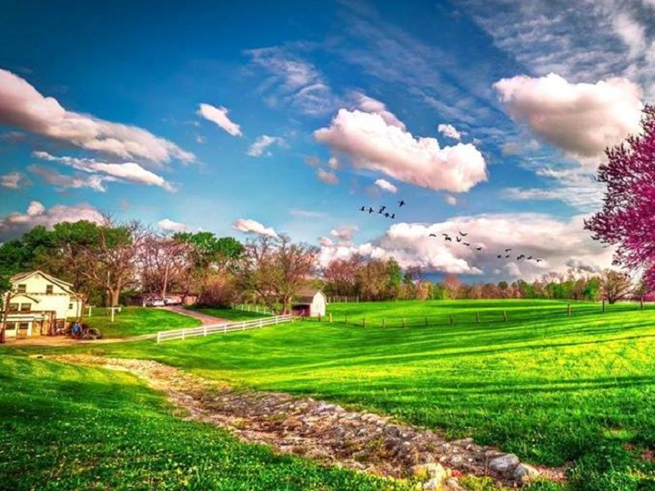 Temperatur aşağı düşəcək, külək əsəcək