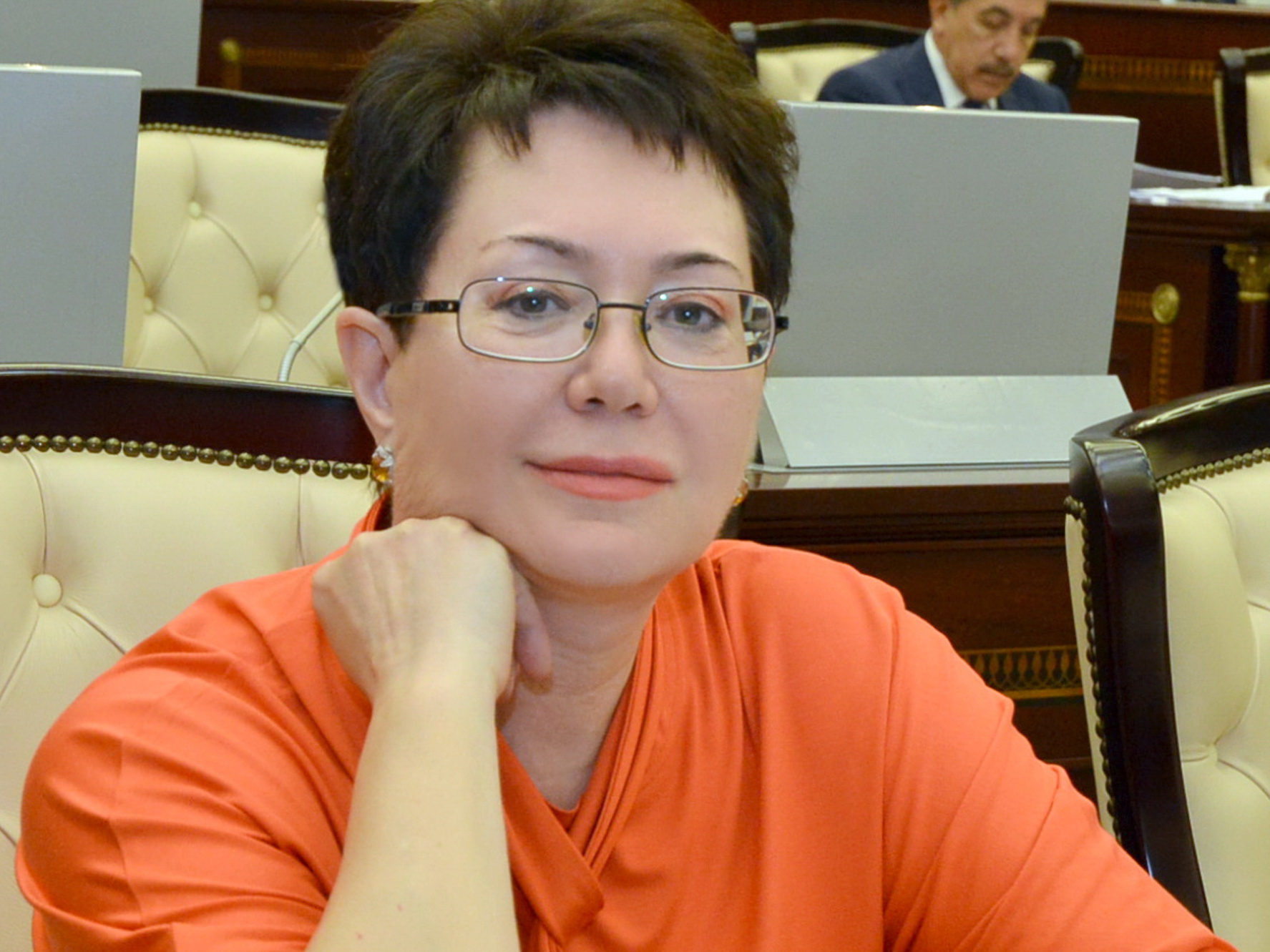 Millət vəkili Elmira Axundova mətbuata müraciət etdi