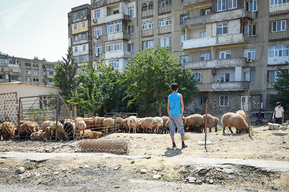 Азербайджан запреты. Мясо продают на улицах в Баку. Режут мясо в Баку на улице.