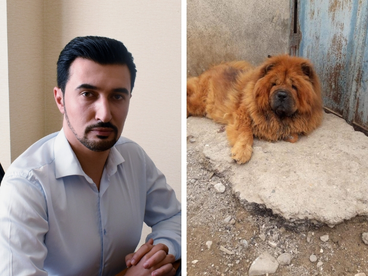 ИВ Хазарского района подала в суд на зоозащитника Фарида Мансурова: в чем суть спора? – ФОТО - ВИДЕО