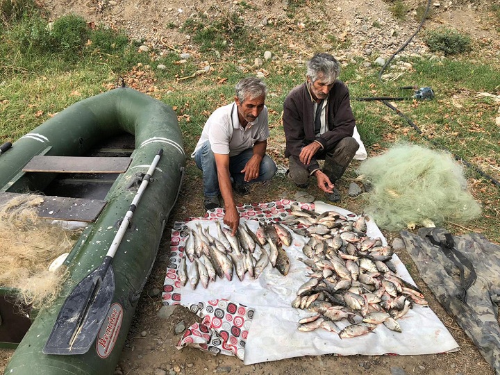 DİN: Balıqların kütləvi məhvi ilə məşğul olan şəxslər saxlanılıb - FOTO