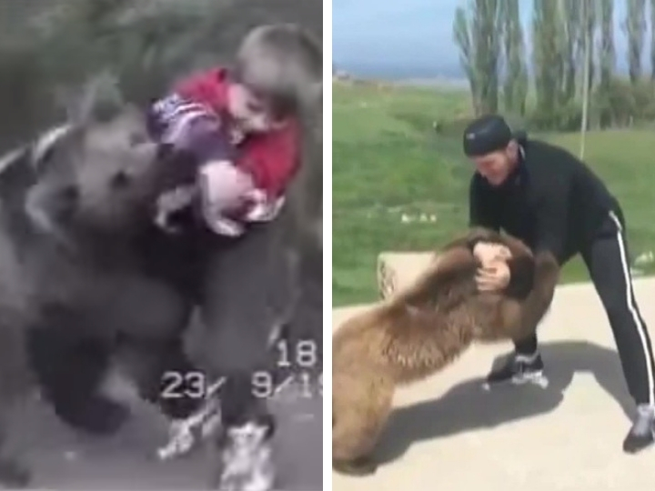 Видео медведи против