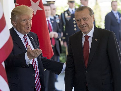 Трамп и Эрдоган обсудили ситуацию в Сирии