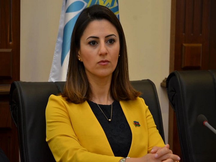 Sevinc Fətəliyeva: Azərbaycan dünya miqyasında yüksək nüfuza malik bir ölkədir
