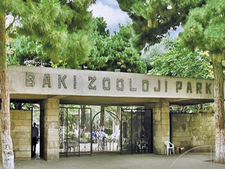 Bakı Heyvanat Parkı müvəqqəti bağlanır