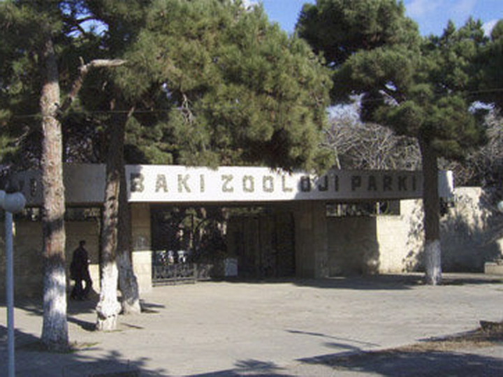 Подробности реконструкции: Бакинский зоопарк временно закрывается и расширяется в два раза