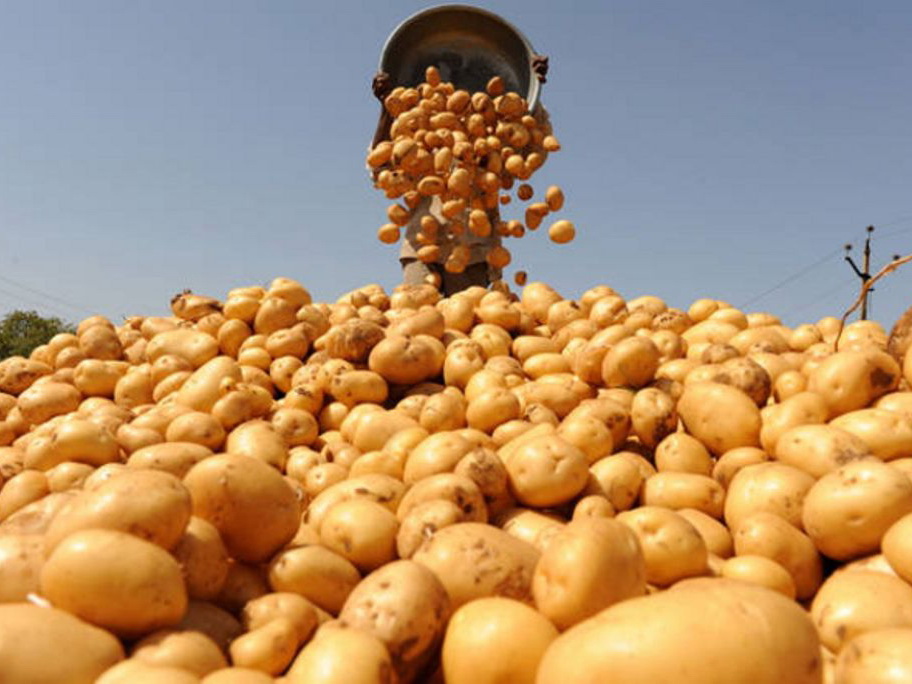 В Азербайджане приняты меры, направленные на снижение цен на лук, картофель и капусту