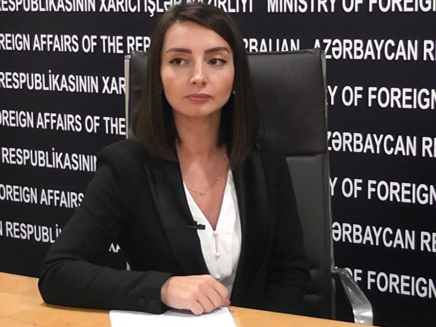 Лейла Абдуллаева: Армения должна постыдиться распространять тот или иной документ, повествующий о правах человека