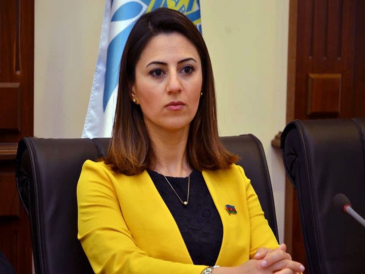 Sevinc Fətəliyeva: Azərbaycana qarşı qərəzli kampaniya aparan qüvvələr bu dəfə də məqsədlərinə çata bilməyəcəklər