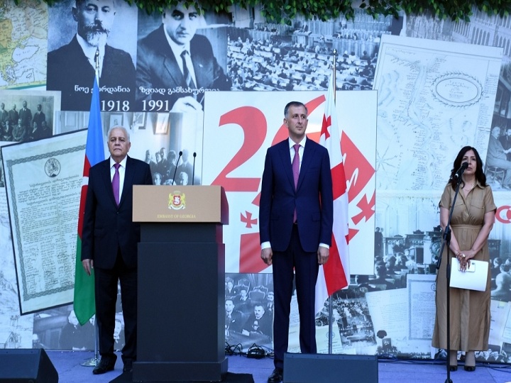 Səfir: Gürcüstan hər zaman Azərbaycanın dəstəyini hiss edib - FOTO