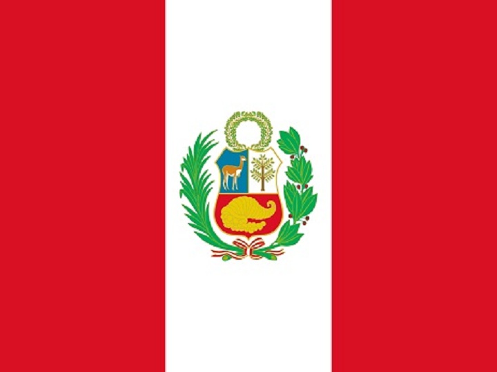 Peru səfirliyi rəsm müsabiqəsi keçirir