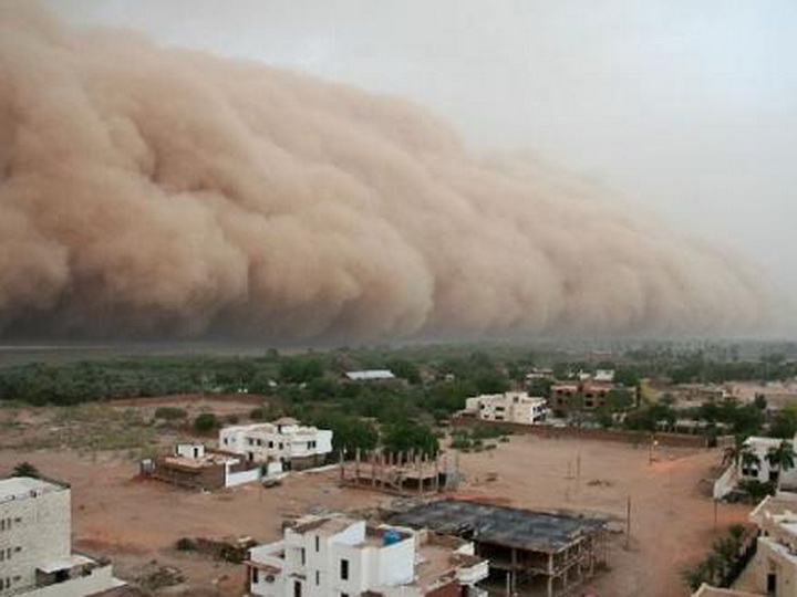 На севере Индии не менее 13 человек погибли из-за бури