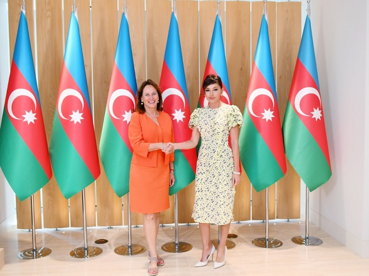 Mehriban Əliyeva Fransanın Arktika və Antarktika məsələləri üzrə beynəlxalq danışıqlara məsul səfiri ilə görüşüb – FOTO