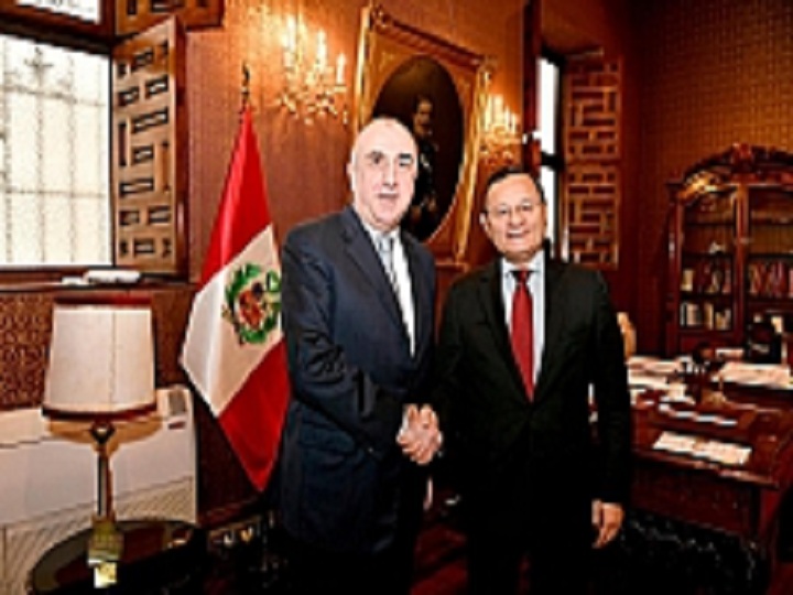 Məmmədyarov perulu həmkarı ilə görüşüb