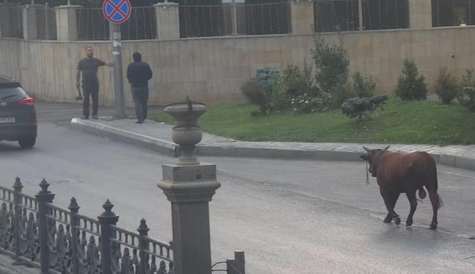 Опубликованное фото