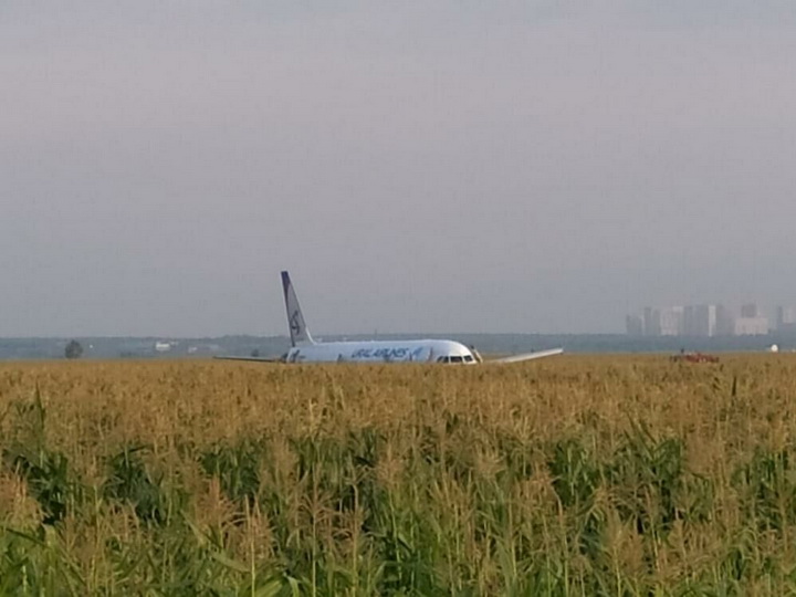 Появилось видео аварийной посадки самолета A321 в Подмосковье - ВИДЕО - ОБНОВЛЕНО