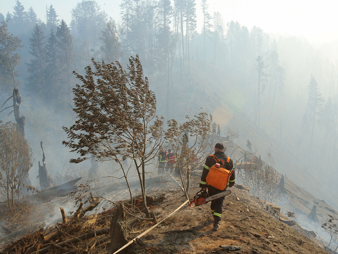 В Грузии горит около сорока гектаров леса