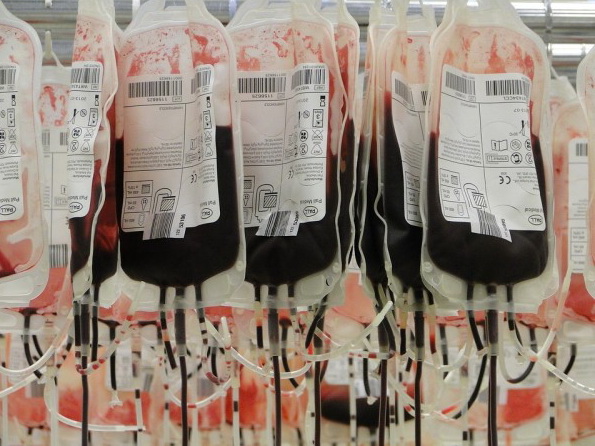 Уже почти две с половиной тонны крови: Как в день Ашуры спасают жизни людям - ОБНОВЛЕНО