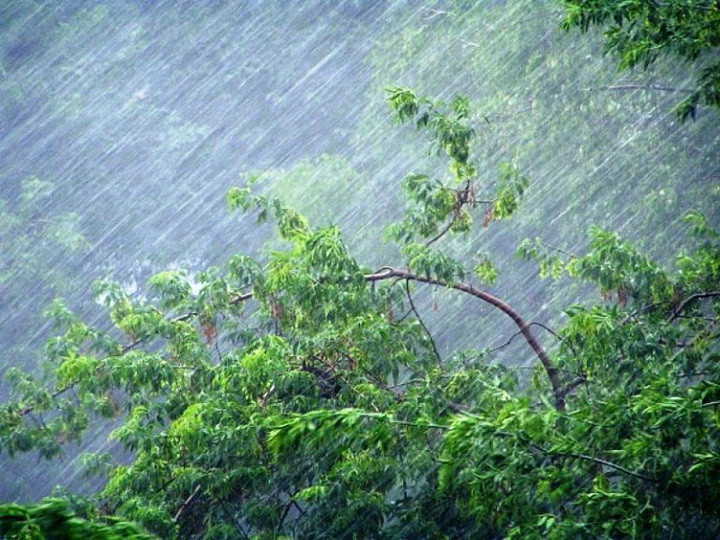 Предупреждение: В Азербайджане ожидаются почти штормовой ветер и ливень