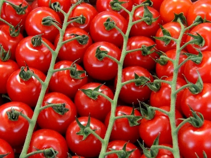 Россельхознадзор разрешил поставки помидоров с 12 азербайджанских предприятий