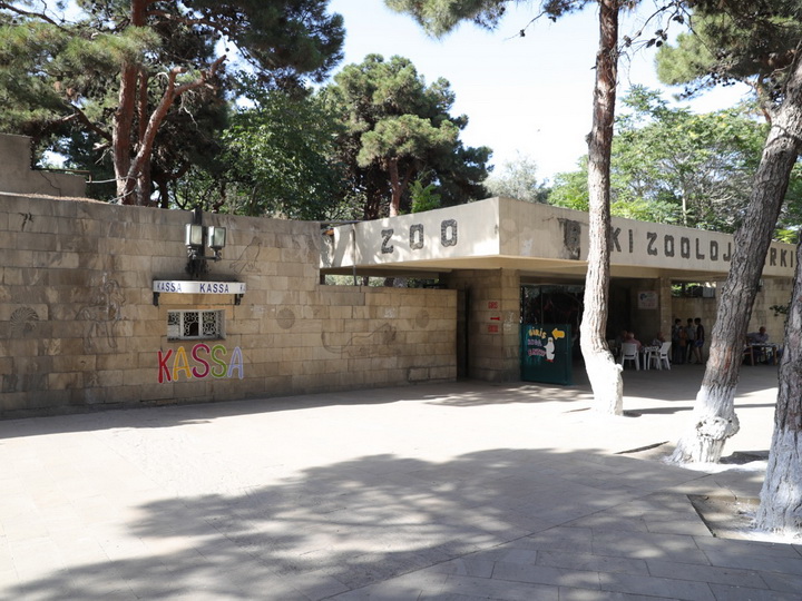 Названа предварительная дата открытия Бакинского зоопарка после реконструкции - ФОТО