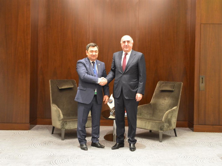 Эльмар Мамедъяров встретился с президентом Тюркской академии - ФОТО