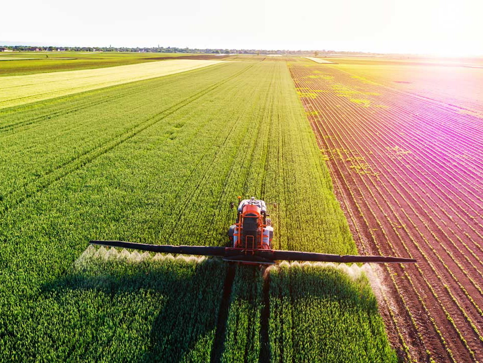 Сельское хозяйство: итоги девяти месяцев 2019 года